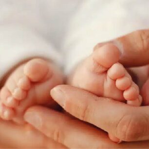 Desarrollo de mi hijo web