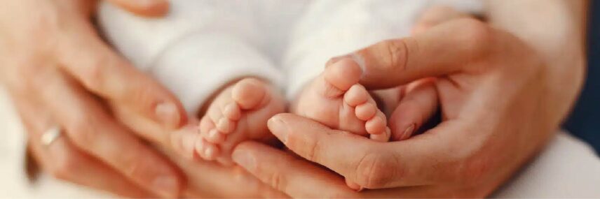 Desarrollo de mi hijo web